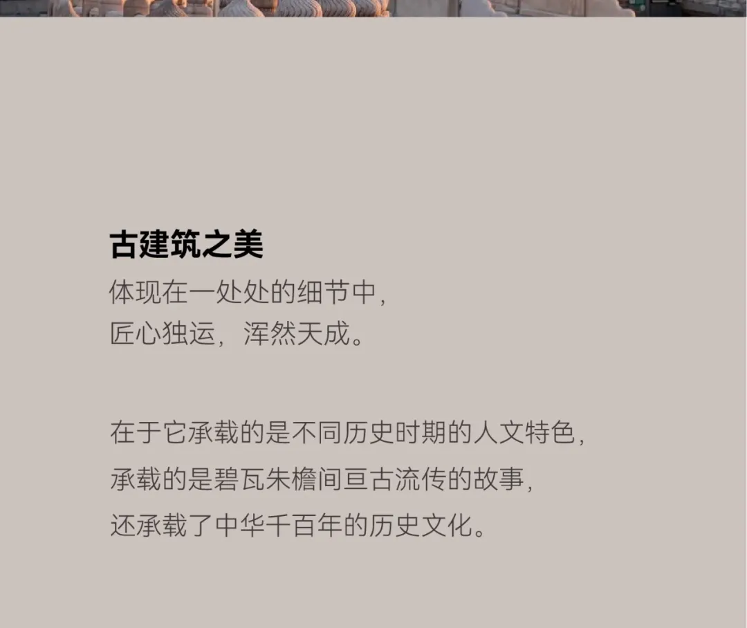 3.webp