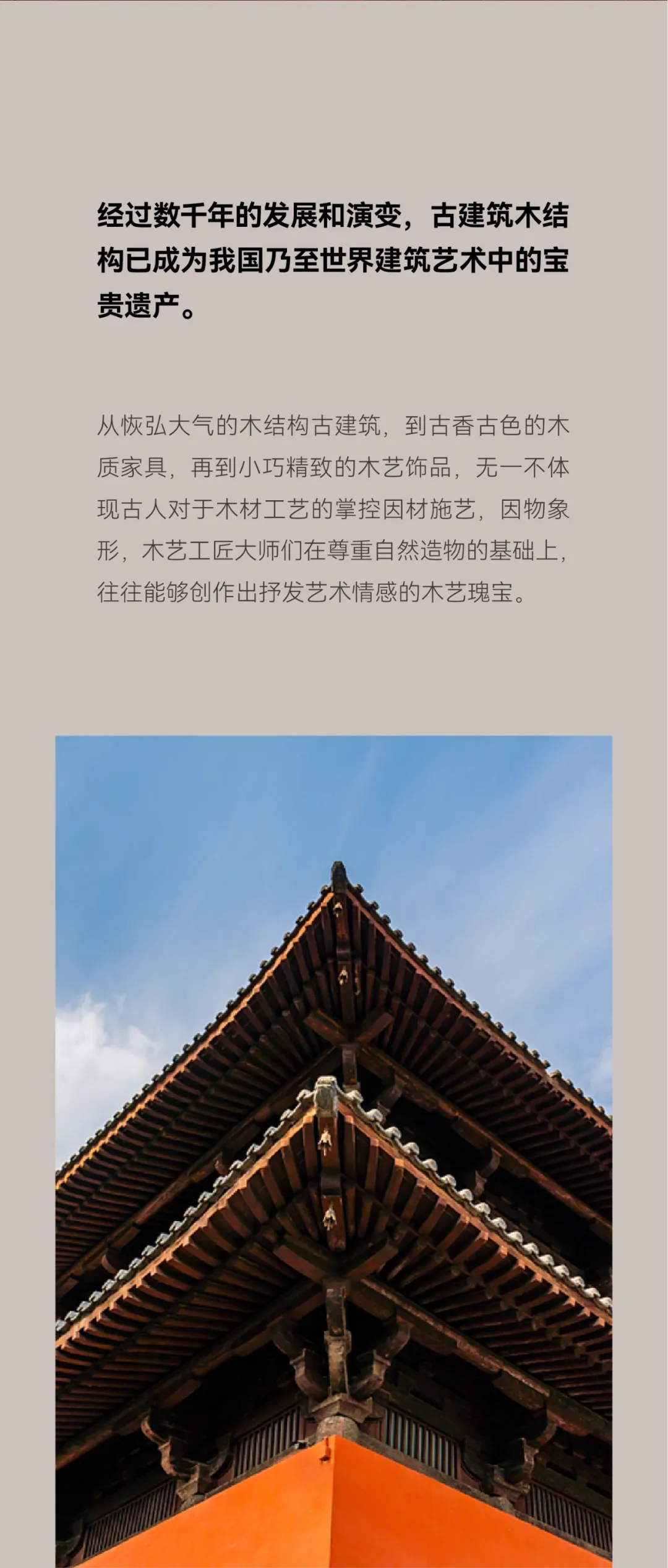 6.webp