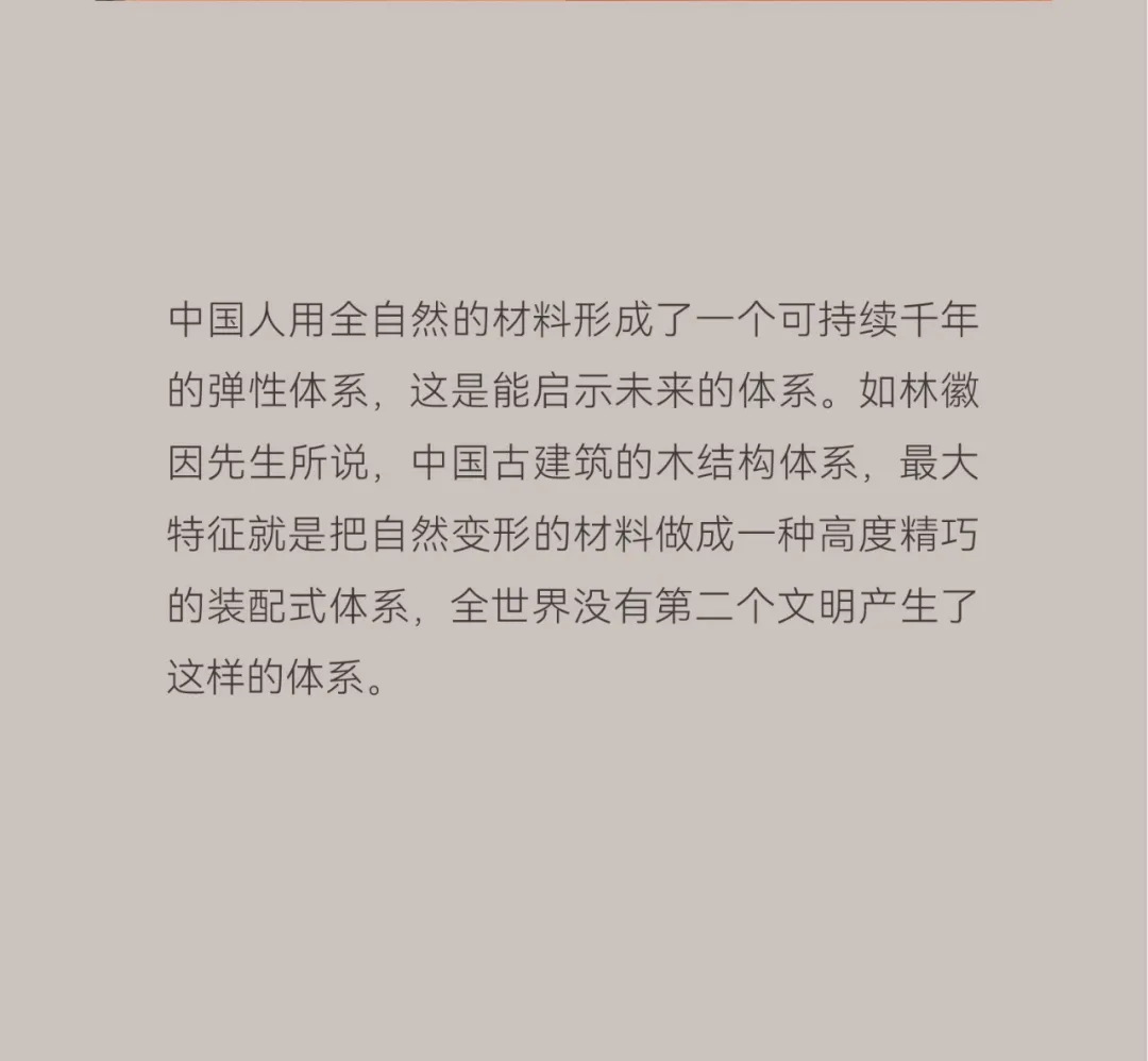 7.webp
