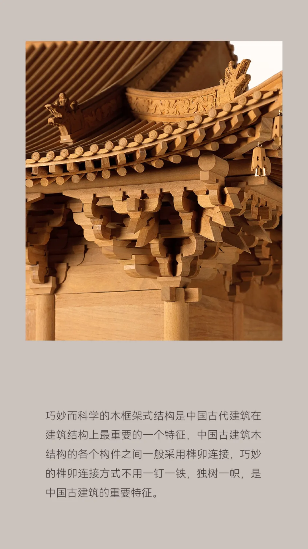 9.webp